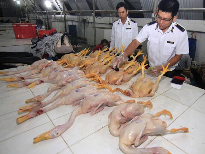 Tẩy chay sản phẩm gia cầm là 'vơ đũa cả nắm'